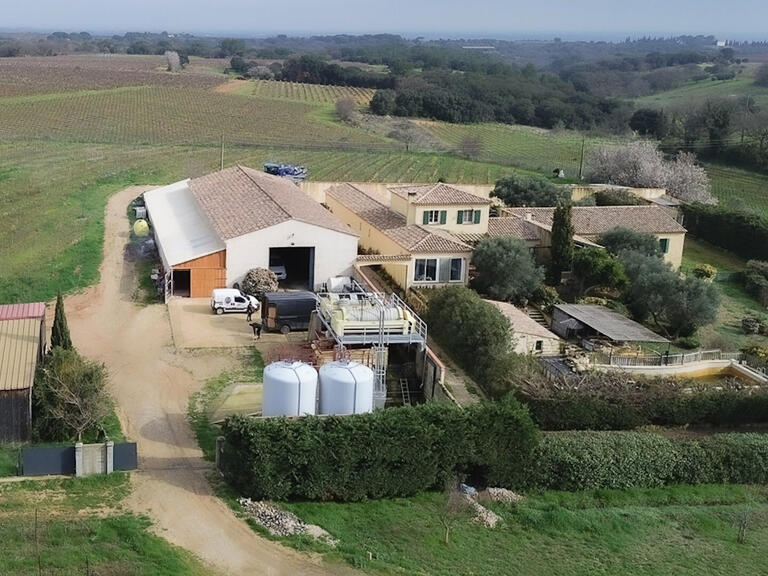 Vineyard Beauvoisin - 5 bedrooms - 230m²