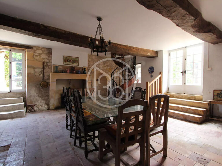 Castle Bergerac - 7 bedrooms - 600m²