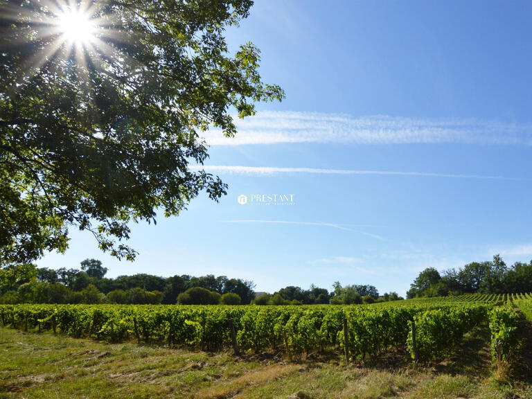 Domaine viticole Bergerac - 6 chambres - 390m²