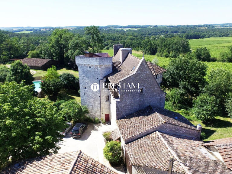 Vineyard Bergerac - 6 bedrooms - 390m²