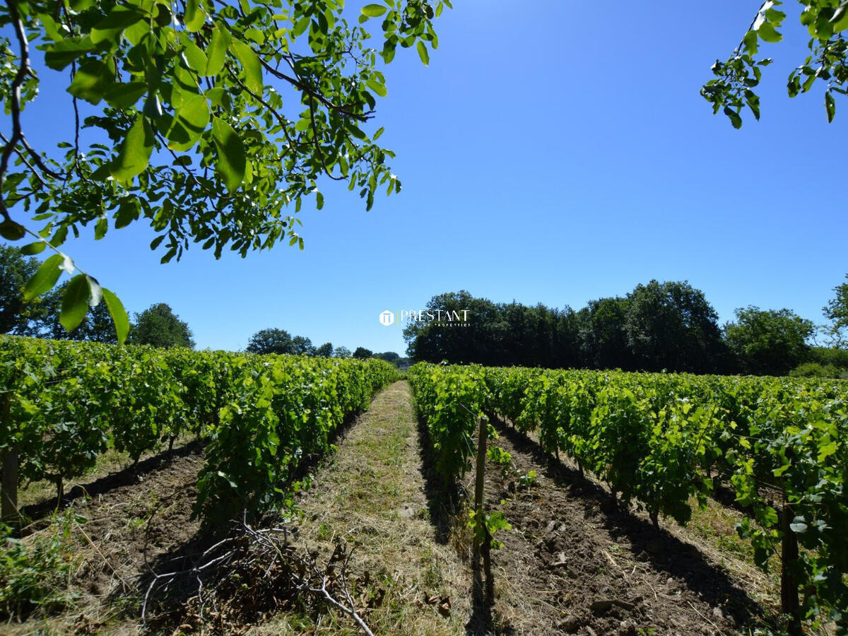 Domaine viticole Bergerac