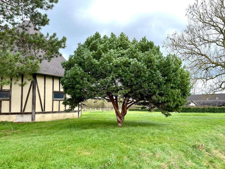 Maison Beuvron-en-Auge - 5 chambres