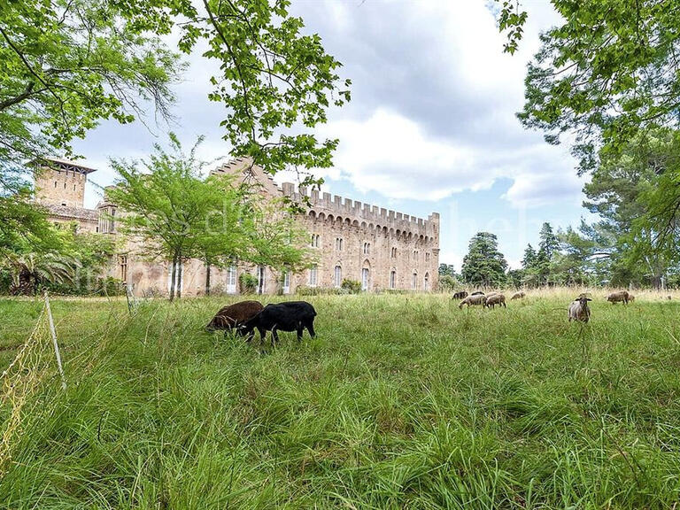 Vente Château Bizanet - 20 chambres