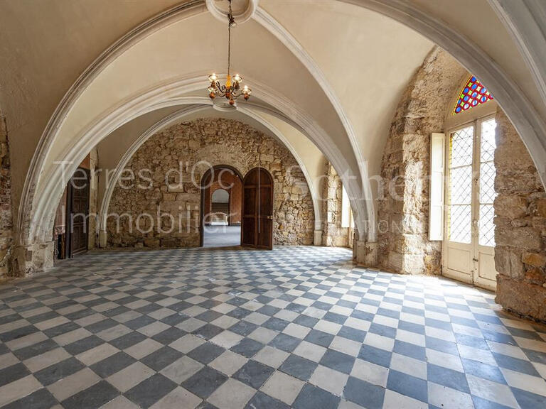 Sale Castle Bizanet - 20 bedrooms