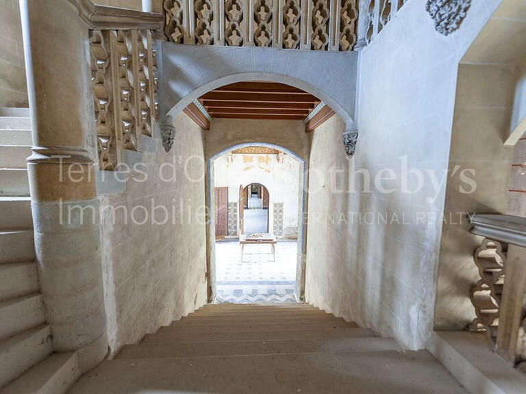 Sale Castle Bizanet - 20 bedrooms