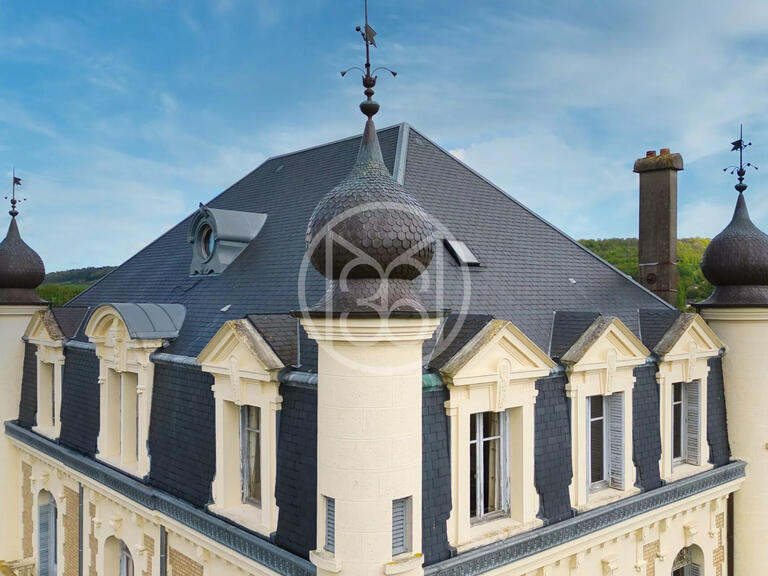 Château Blangy-sur-Bresle - 8 chambres - 425m²