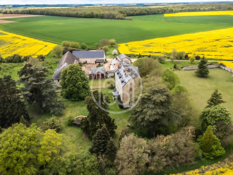 Vente Château Blois - 8 chambres