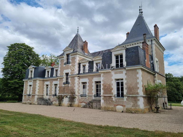 Vente Château Blois - 13 chambres