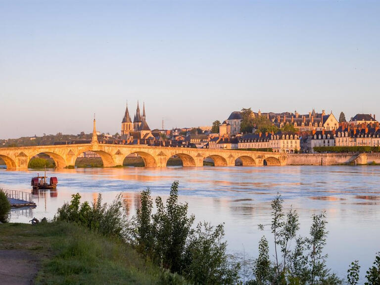 Vente Maison Blois - 8 chambres