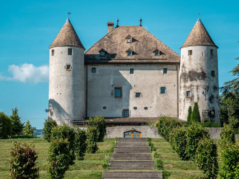 Château Bons-en-Chablais - 13 chambres - 1204m²