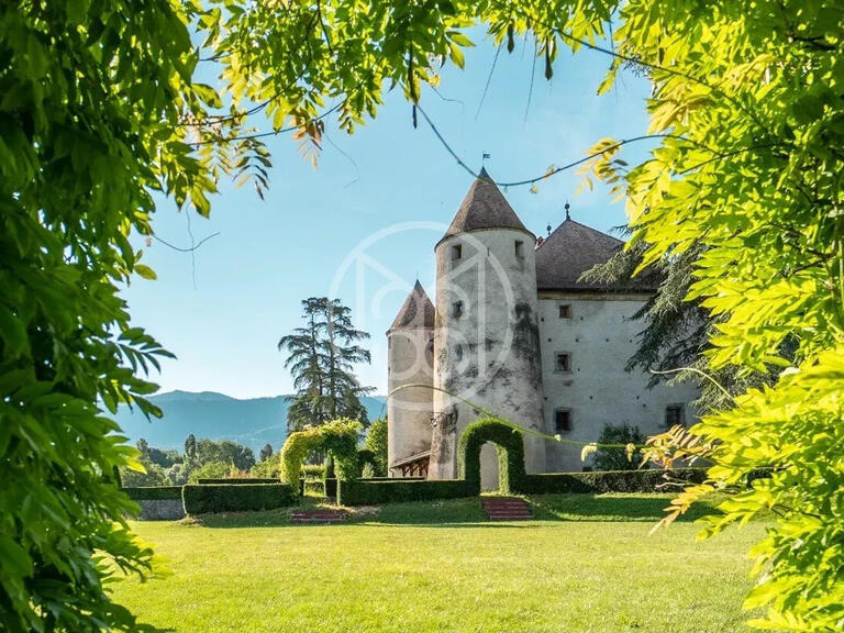 Château Bons-en-Chablais - 13 chambres - 1204m²