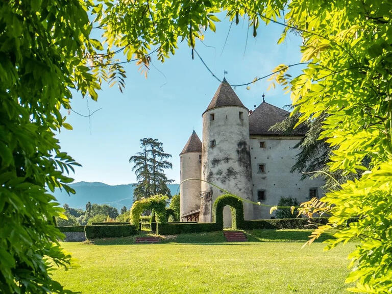 Château Bons-en-Chablais - 13 chambres - 1204m²