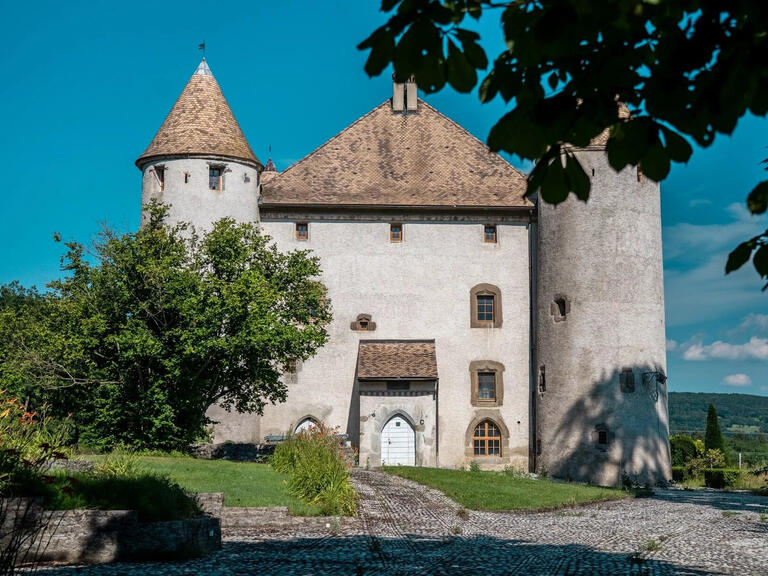 Château Bons-en-Chablais - 13 chambres - 1204m²