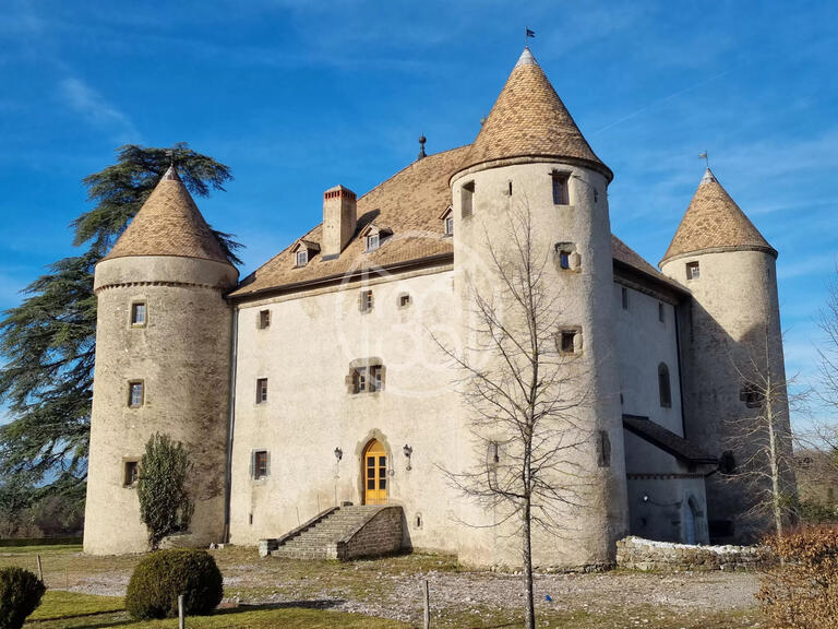 Vente Château Bons-en-Chablais - 13 chambres