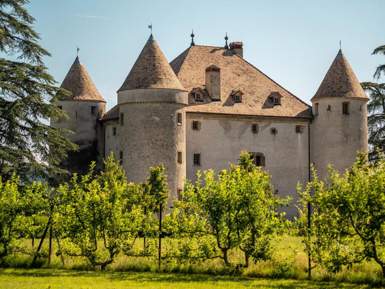 Château Bons-en-Chablais - 13 chambres - 1204m²