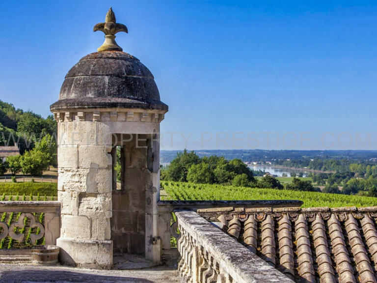 Château Bordeaux - 10 chambres - 2000m²