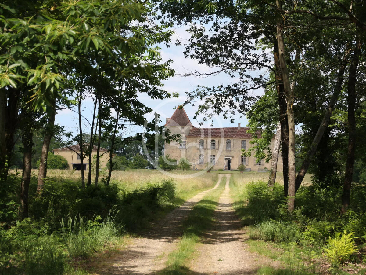 Castle Bordeaux