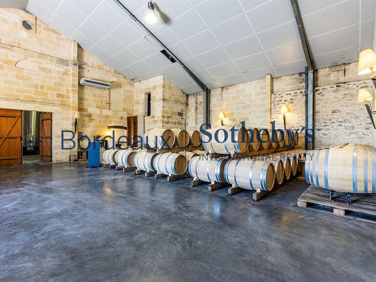 Domaine viticole Bordeaux - 4 chambres - 410m²