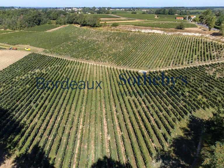 Domaine viticole Bordeaux - 150m²