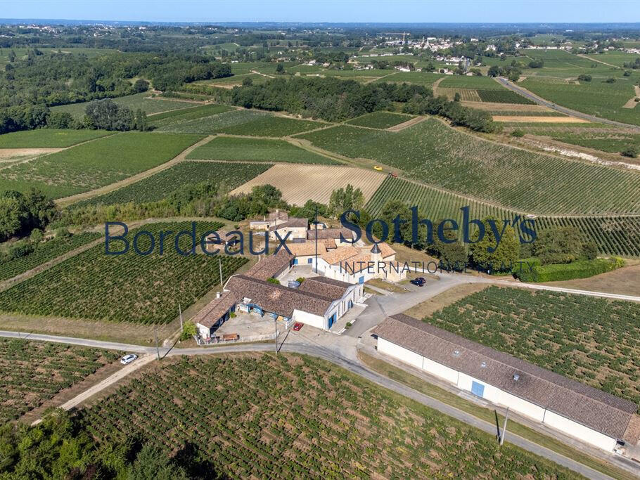 Domaine viticole Bordeaux