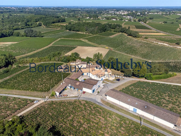 Domaine viticole Bordeaux - 150m²