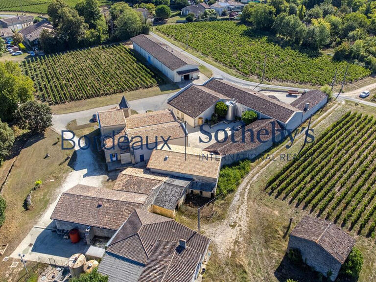 Vineyard Bordeaux - 150m²