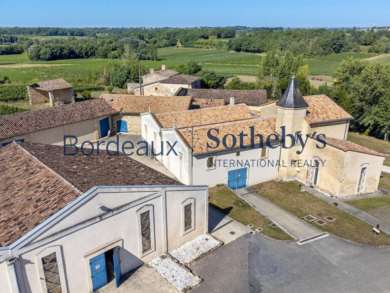 Vineyard Bordeaux - 150m²