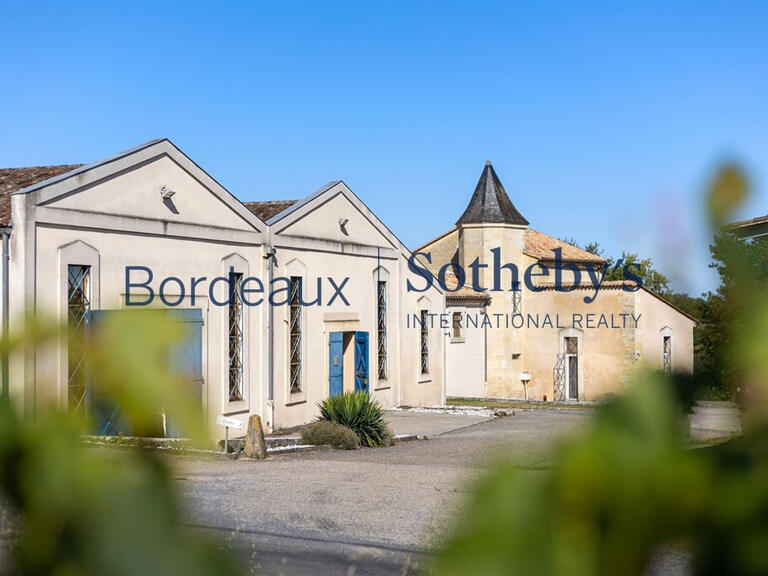 Vineyard Bordeaux - 150m²