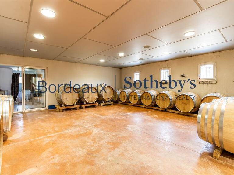 Vineyard Bordeaux - 220m²