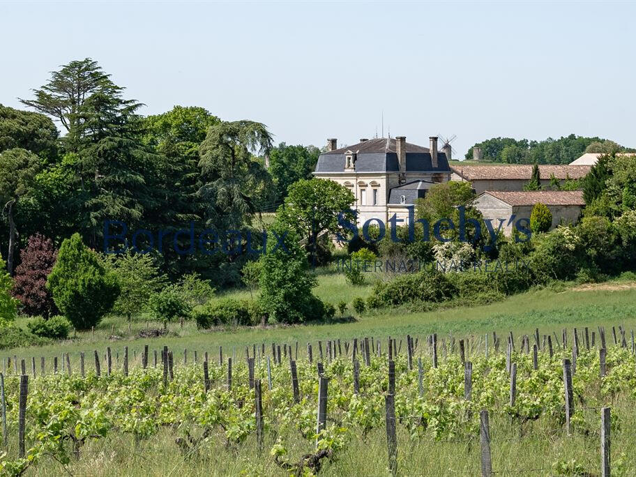 Domaine viticole Bordeaux