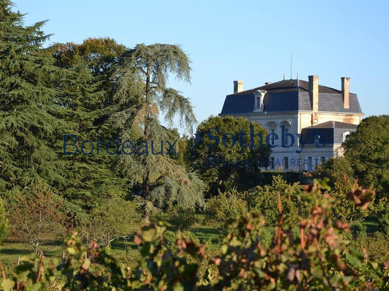 Vineyard Bordeaux - 6 bedrooms - 2500m²