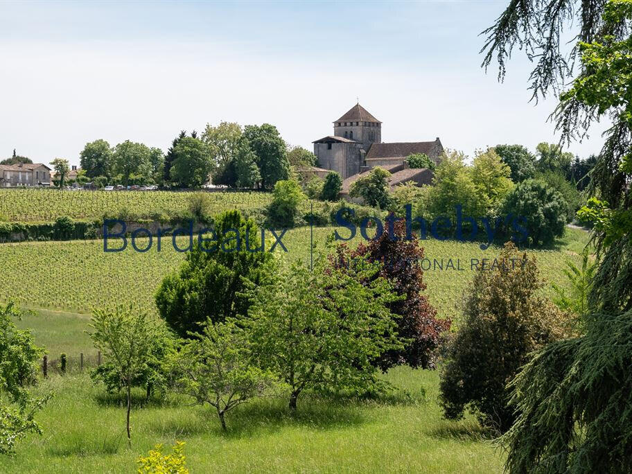 Domaine viticole Bordeaux