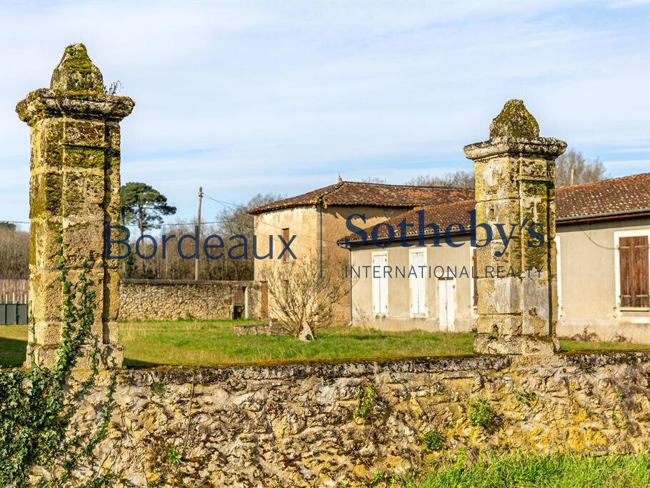 Vineyard Bordeaux