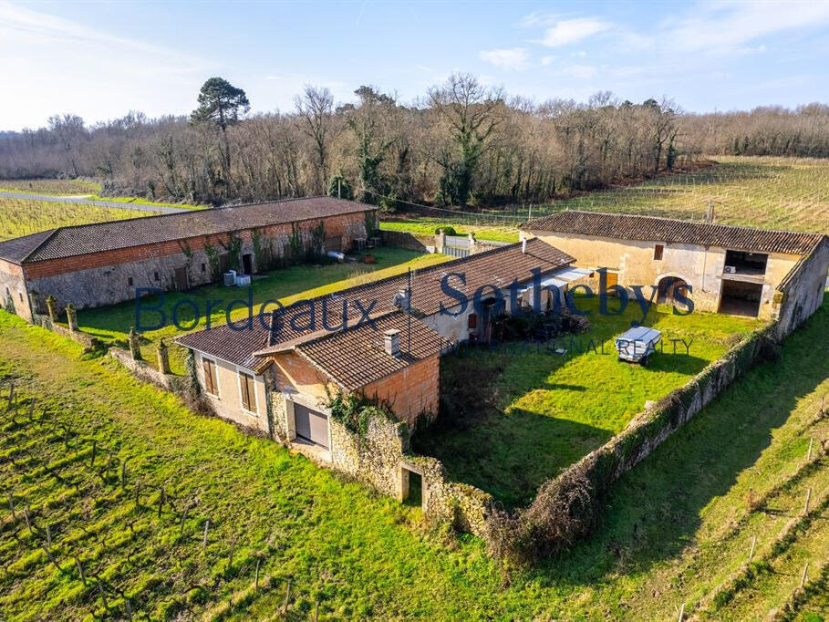 Domaine viticole Bordeaux