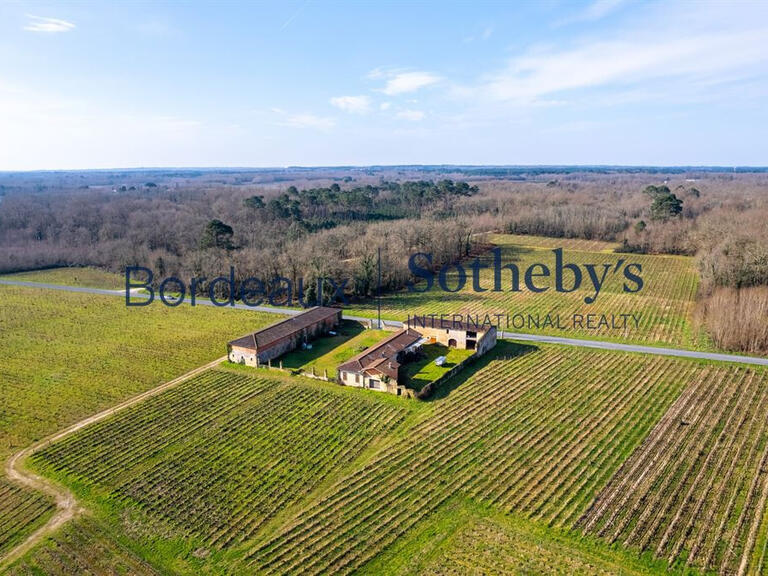 Domaine viticole Bordeaux - 3 chambres - 200m²