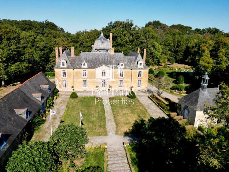 Vente Château Bourg-des-Comptes - 9 chambres