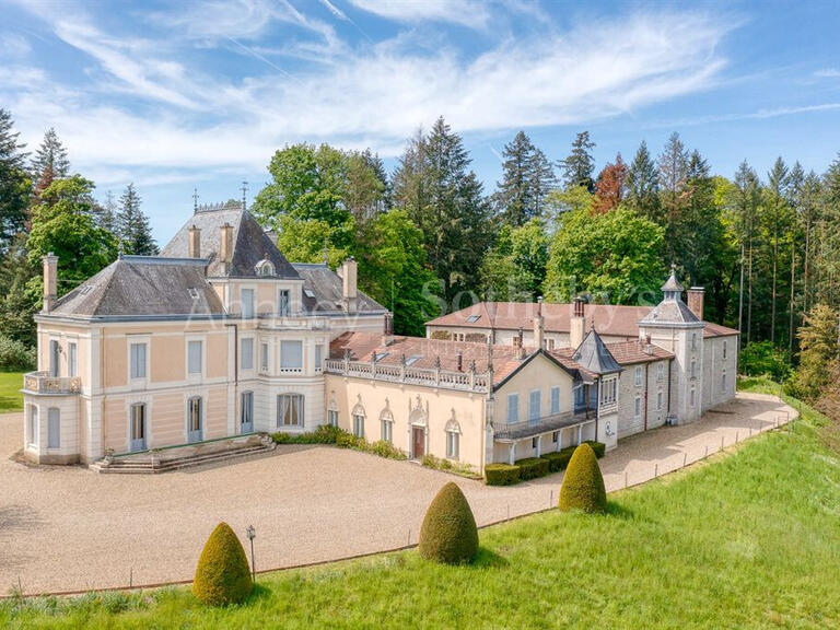 Sale Castle Bourg-en-Bresse - 14 bedrooms