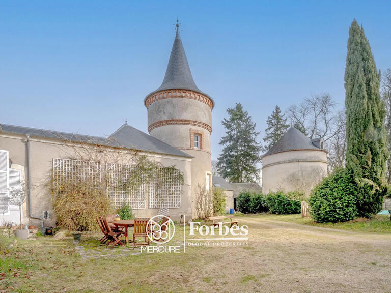 Castle Bourges - 7 bedrooms - 450m²