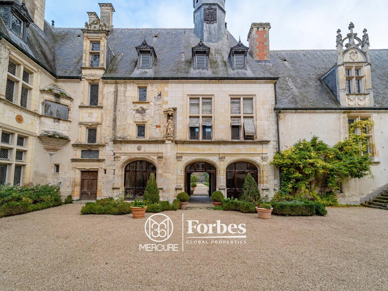 Castle Bourges - 20 bedrooms - 1400m²