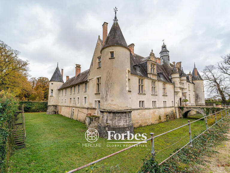 Château Bourges - 20 chambres - 1400m²