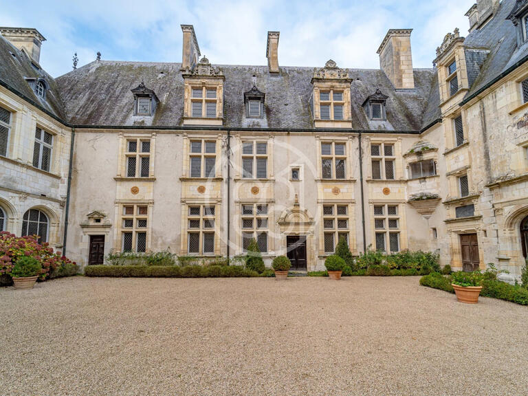 Castle Bourges - 20 bedrooms - 1400m²