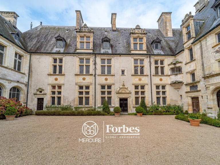 Castle Bourges - 20 bedrooms - 1400m²