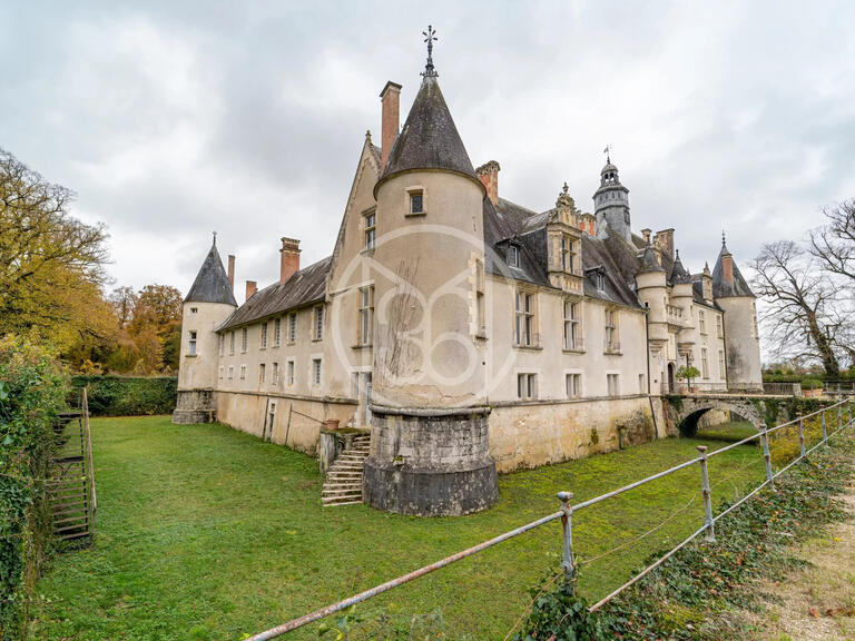 Sale Castle Bourges - 20 bedrooms