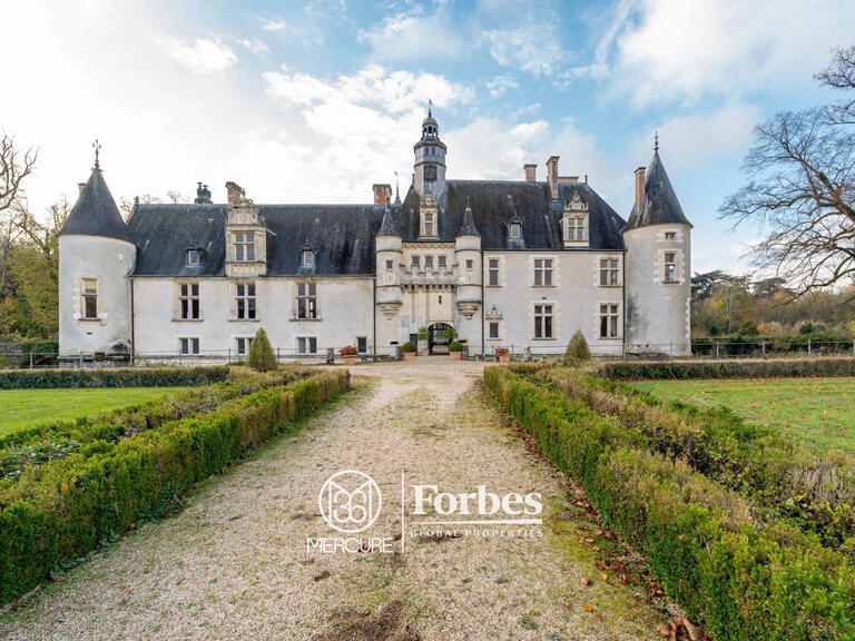 Castle Bourges - 20 bedrooms - 1400m²