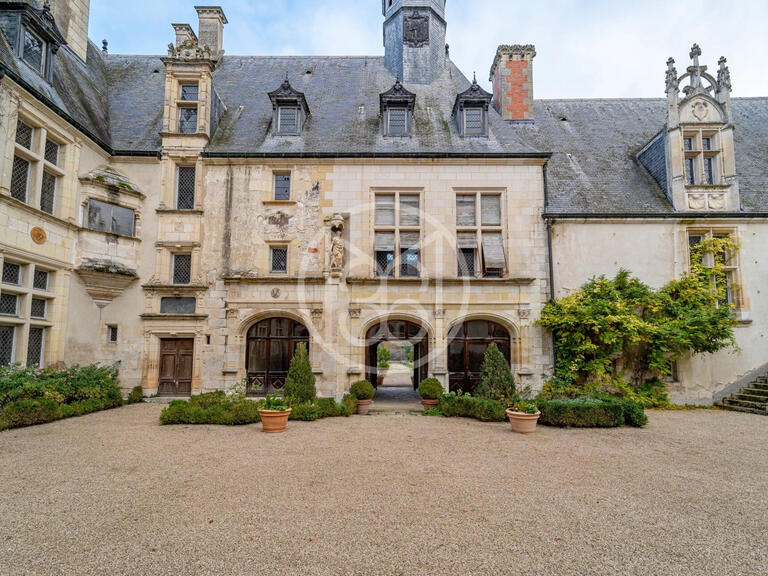 Castle Bourges - 20 bedrooms - 1400m²