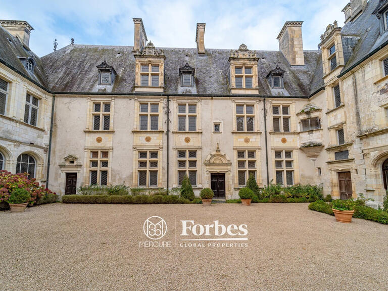 Château Bourges - 20 chambres - 1400m²