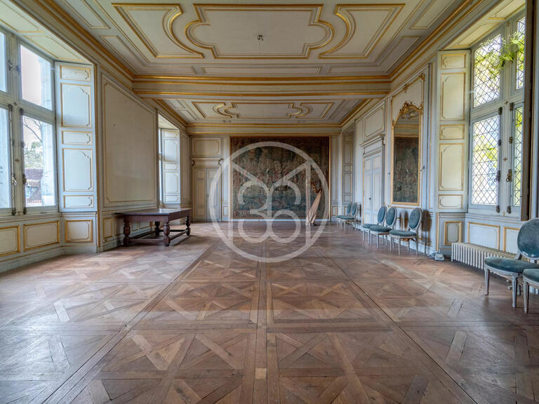 Château Bourges - 20 chambres - 1400m²