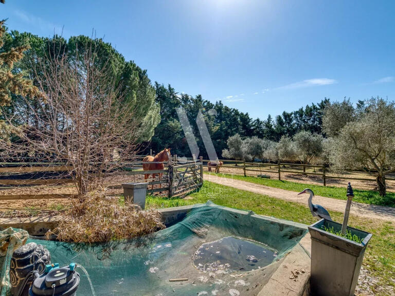 Propriété équestre Brignoles - 4 chambres - 585m²