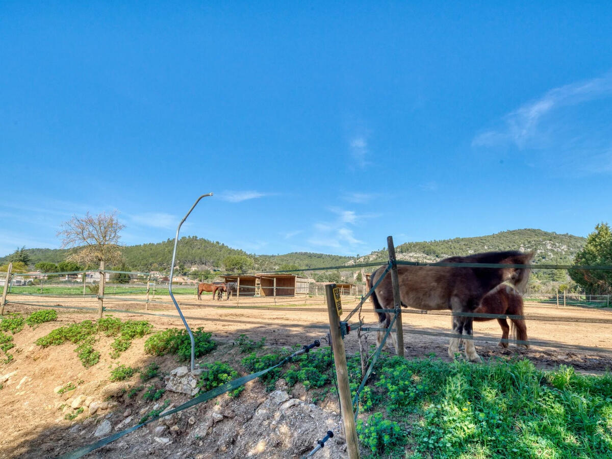 Equestrian property Brignoles