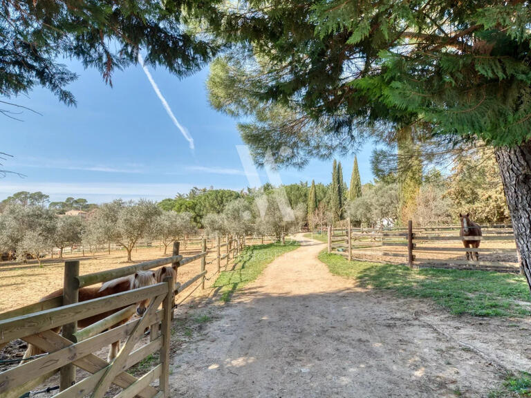 Propriété équestre Brignoles - 4 chambres - 585m²